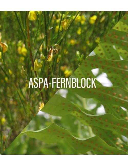 HELIOCARE 360º COLOR WATER GEL BRONZE SPF 50+