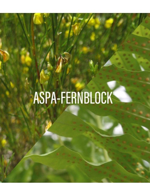 HELIOCARE 360º SPORTSUN 30 STICKS